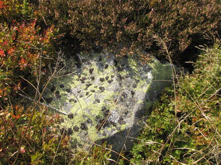 20080926 173341